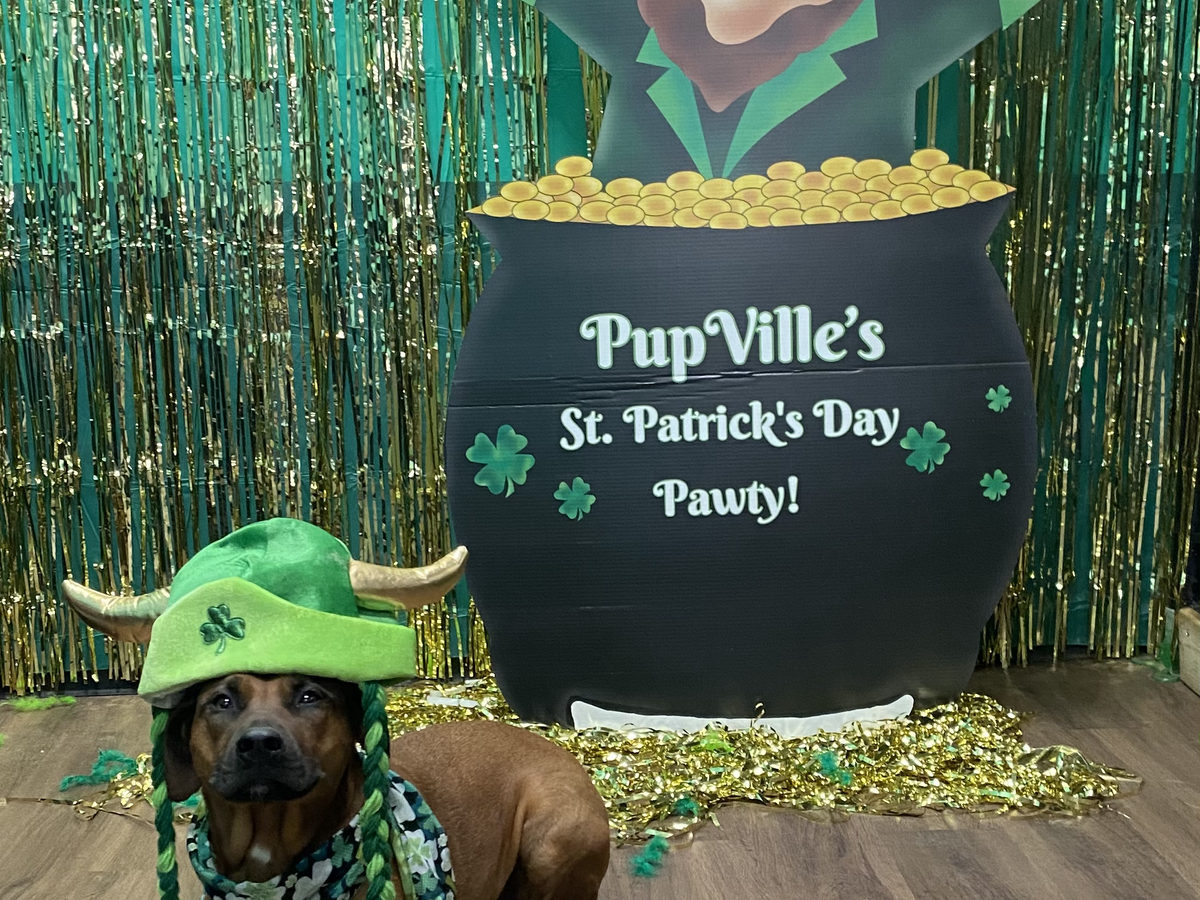 PupVille daycare pups, photo 1