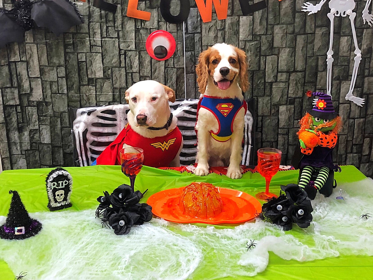 PupVille daycare pups, photo 9