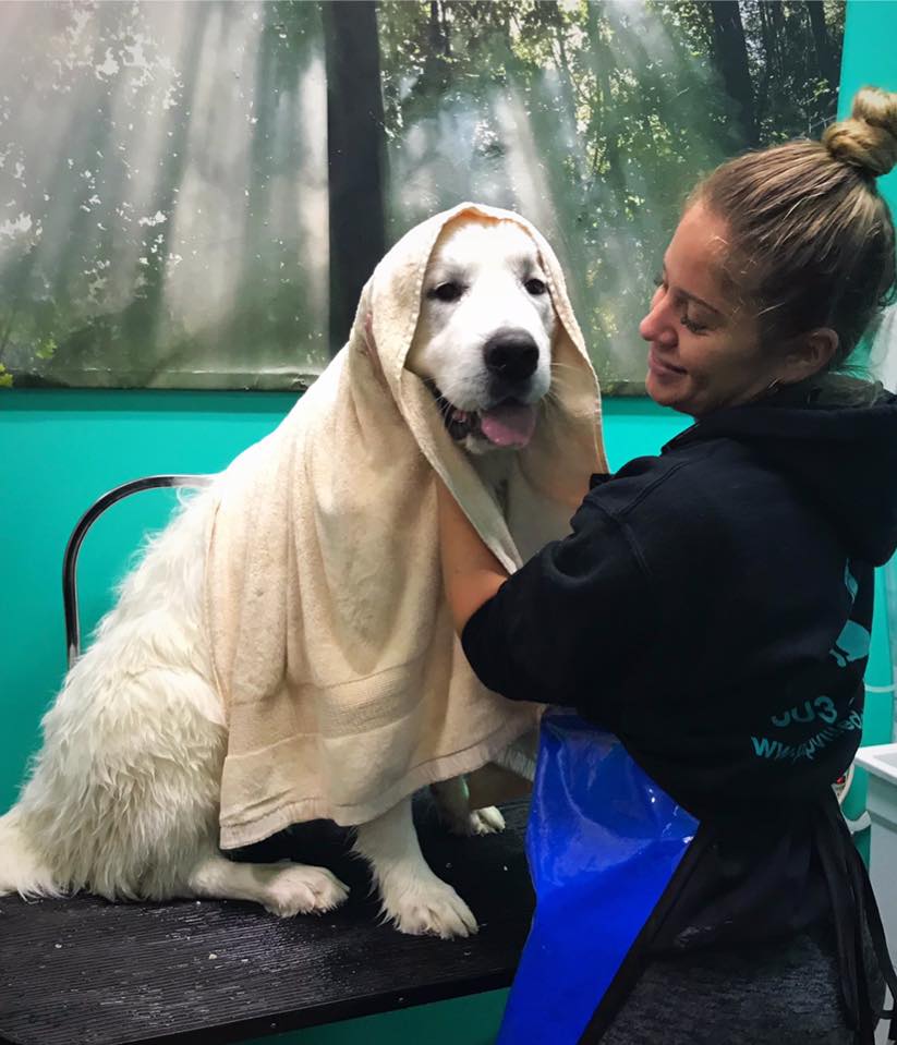 Grooming at PupVille